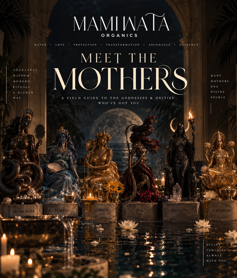 Meet the Mothers: A Field Guide to the Goddesses & Deities Who've Got You