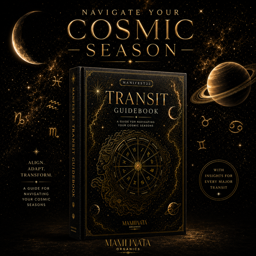 Manifest 22 Transit Guidebook