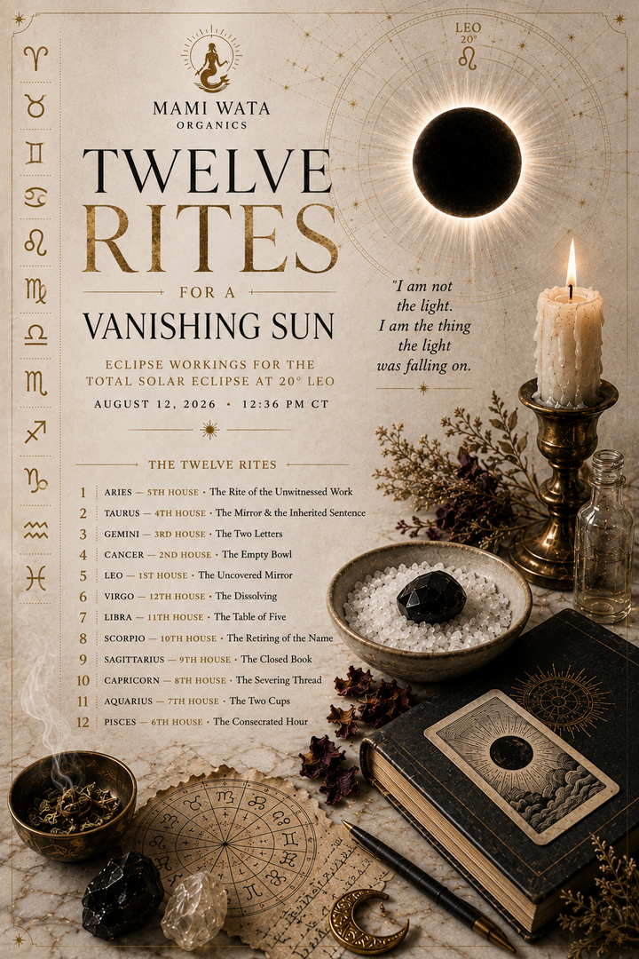 Eclipse Rituals 2026: A Working for All 12 Zodiac Signs