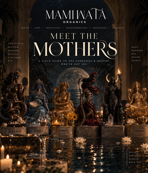 Meet the Mothers: A Field Guide to the Goddesses & Deities Who've Got You