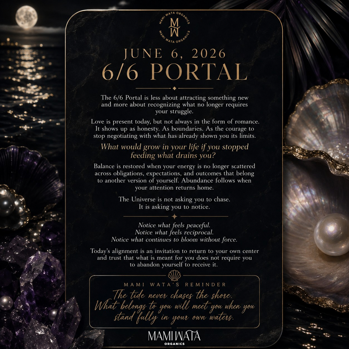The 6/6 Portal: Returning to Yourself