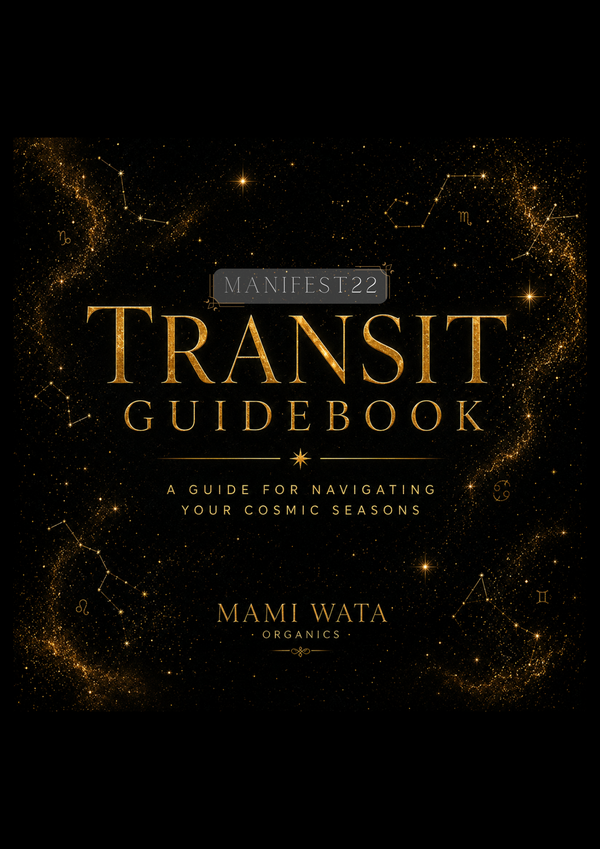 The Manifest22 Transit Guidebook (Hardcover)