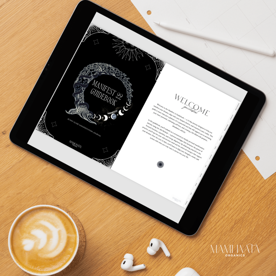 (DIGITAL DOWNLOAD) MANIFEST22 GUIDEBOOK