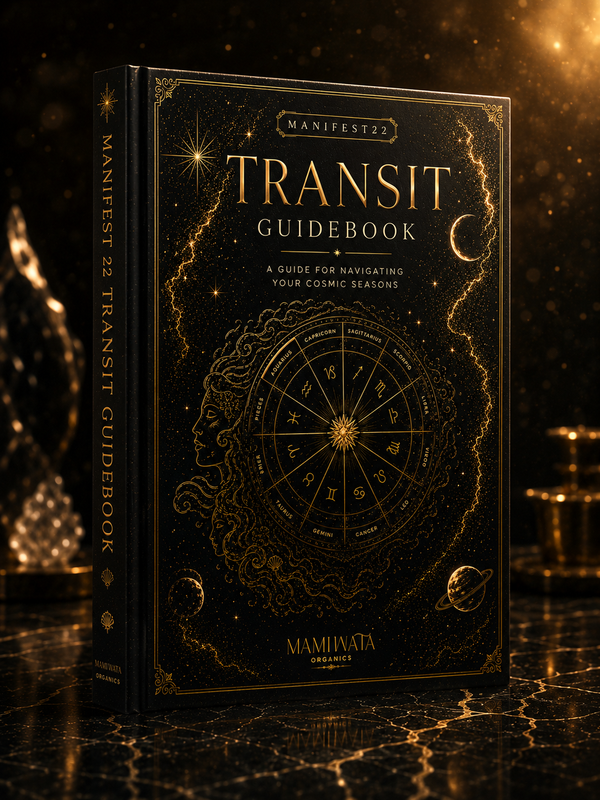 The Manifest22 Transit Guidebook (Hardcover)
